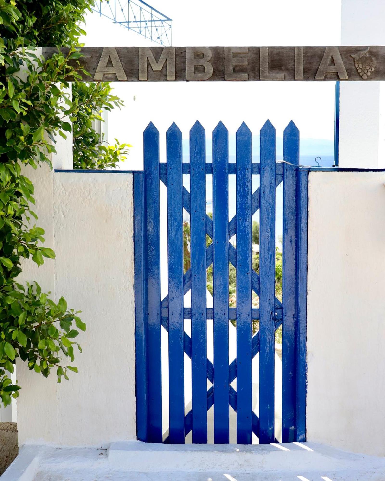 2 Ambelia Paradise Apartment Megalochori  Ngoại thất bức ảnh